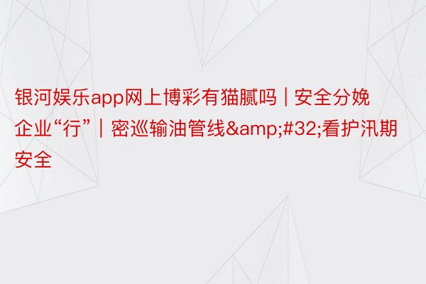 银河娱乐app网上博彩有猫腻吗 | 安全分娩企业“行”｜密巡输油管线&#32;看护汛期安全