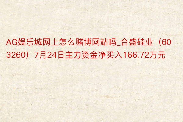 AG娱乐城网上怎么赌博网站吗_合盛硅业（603260）7月24日主力资金净买入166.72万元