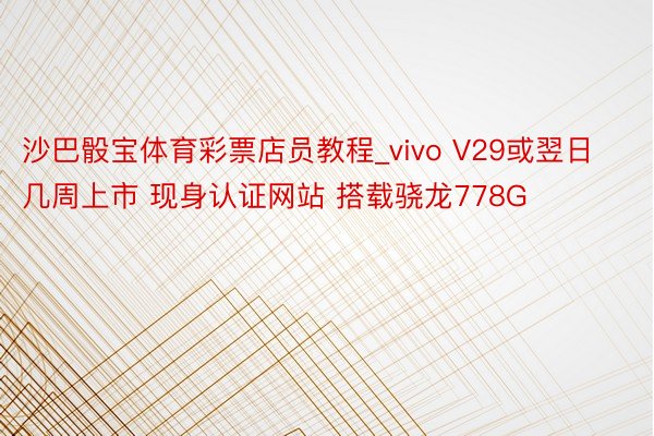 沙巴骰宝体育彩票店员教程_vivo V29或翌日几周上市 现身认证网站 搭载骁龙778G