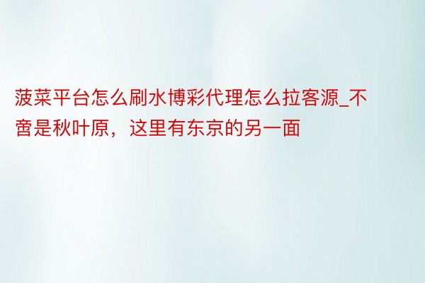 菠菜平台怎么刷水博彩代理怎么拉客源_不啻是秋叶原，这里有东京的另一面