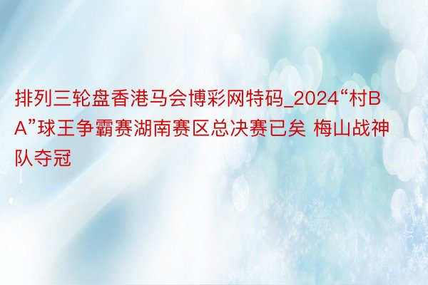 排列三轮盘香港马会博彩网特码_2024“村BA”球王争霸赛湖南赛区总决赛已矣 梅山战神队夺冠