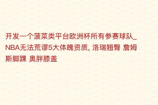 开发一个菠菜类平台欧洲杯所有参赛球队_NBA无法荒谬5大体魄资质, 洛瑞翘臀 詹姆斯脚踝 奥胖膝盖